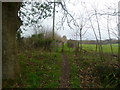 Efford, kissing gate