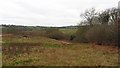 A rough field  near Boraston