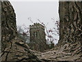 Ellesborough Church framed between two tree branches