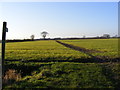 Bridleway to The Greenways