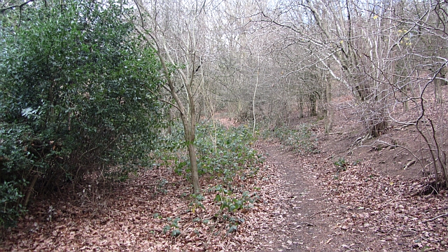 Path, Raggedstone Common