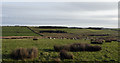 Valley of Houselop Beck