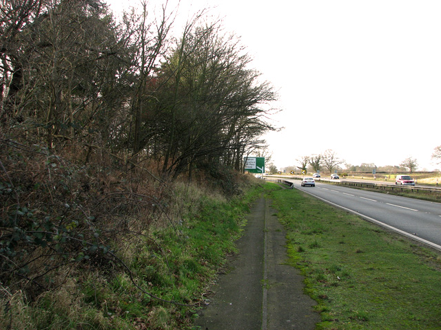 The A12 road past Leatherjacket Covert, Holton St Mary