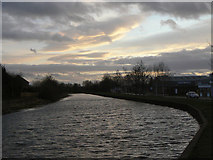 SE6131 : Selby Canal at sunset by Alan Murray-Rust