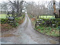 Farm access track at Cefndeuddwr in Coed-y-Brenin