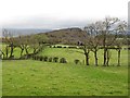 Fields off Chryston Road