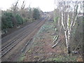 The railway, looking west from Bridge Rd, Roby