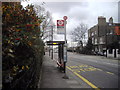 Bus stop in Beaufort Street, Chelsea