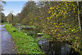 Aberdare Canal