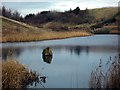 Colliery spoil heap reclamation pond