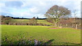 Pasture near Oldtay Farm