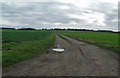TF1284 : Farm Track near Lissington by J.Hannan-Briggs