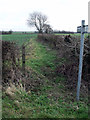 Footpath near Holton Grange