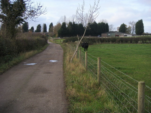 Footpath up to Ash Farm