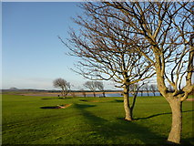 NT6679 : Coastal East Lothian : New Year's Day at Winterfield, Dunbar by Richard West