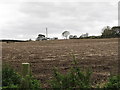 Potato field south of the Ballygallum Road