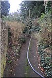 SX9264 : Torquay : Uphill Footpath by Lewis Clarke