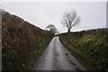 Mid Devon : Country Road