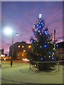 Christmas Tree in Seaton