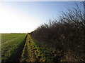 Farmland to the south of Beeford