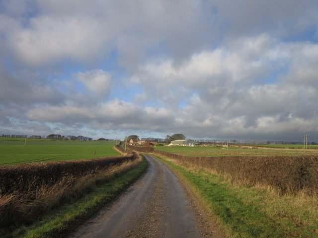 Pockthorpe Lane near Little Pockthorpe Farm
