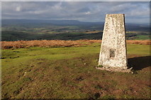 SO4325 : Trig point on Garway Hill by Philip Halling