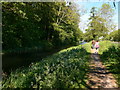 Path along the River Frome near Churchend