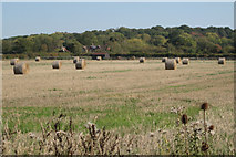 SP1764 : Round straw bales near Cherry Pool Farm by Robin Stott