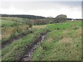 Farmland, East Bennan