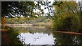 Basingstoke Canal, Greatbottom Flash