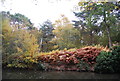 Autumn, Basingstoke Canal