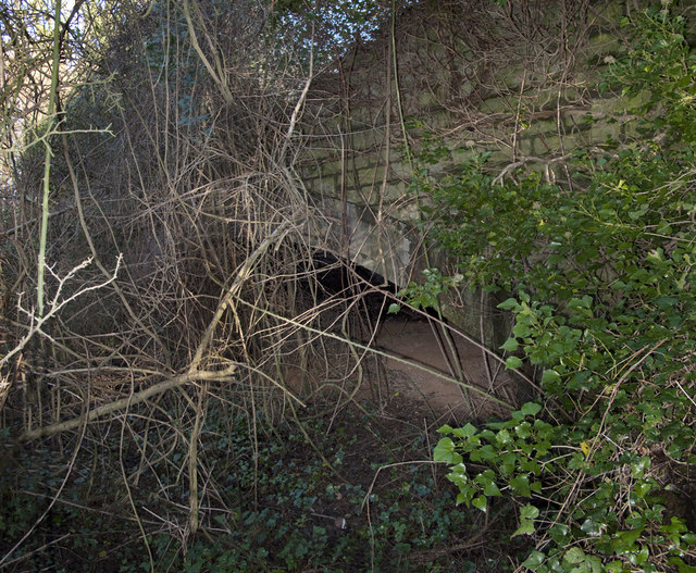 Railway Bridge, East Aberthaw