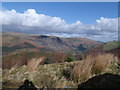 From Craig-las  looking towards Craig Rhiwart  above is Y Clogydd and Y Garn