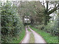 Ballyclander Road south of the old lime kiln