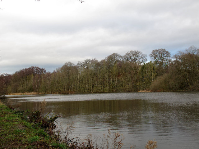 Large pond by Valeroyal Cut