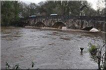 SS9307 : Bickleigh : The River Exe & Bickleigh Bridge by Lewis Clarke