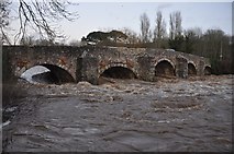 SS9307 : Bickleigh : Bickleigh Bridge & River Exe by Lewis Clarke