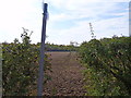 Footpath leaves the road