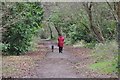 Tiverton : Old Railway Line Footpath