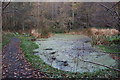 NT3361 : A pond in Gore Glen by Jim Barton