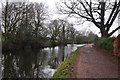 Tiverton : The Grand Western Canal