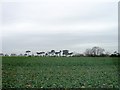 Field south of Singledge Lane