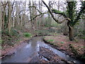 SP0280 : Manor Farm - The Start of Griffin's Brook by Roy Hughes