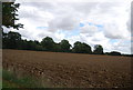 Farmland, edge of Ipswich