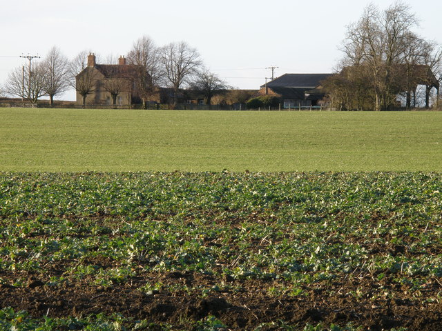 High Holborn farm