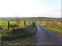 H3062 : Corlagh Road, Corlaghdergan by Kenneth  Allen