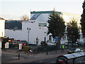 Tree felling at Wellington House, Beverley Road