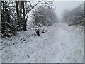 Craighalbert farm road, Cumbernauld community park