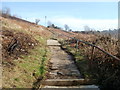 Hillside path above Upper Viaduct Terrace, Crumlin