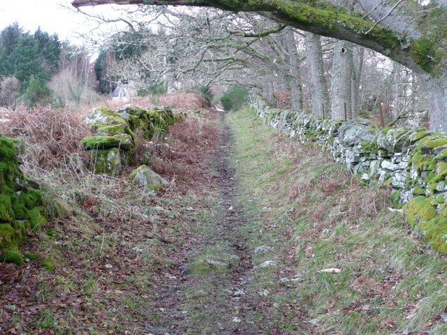 Path and wall beside Tullypowrie Burn